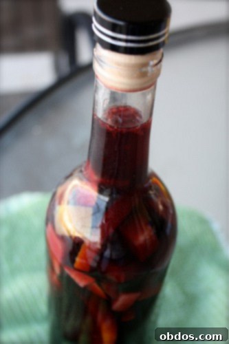 featured 1686