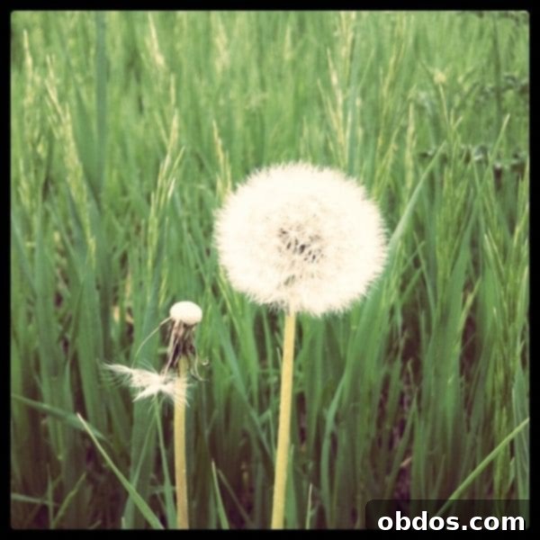 featured 3766