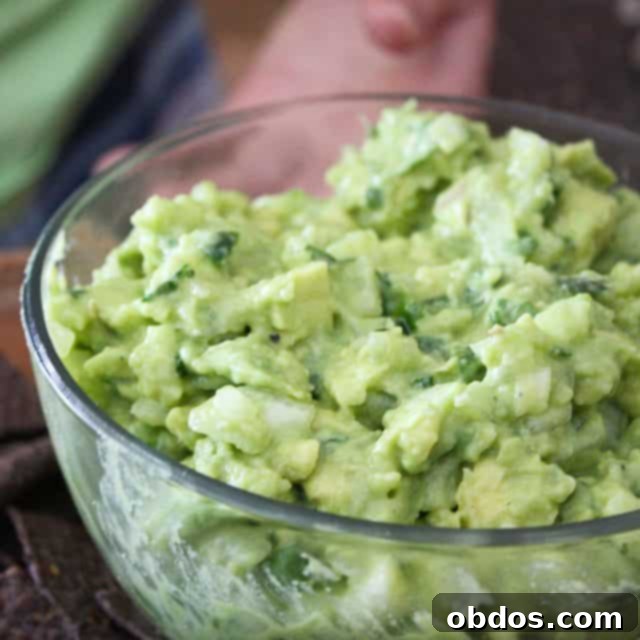 Φρέσκο σπιτικό guacamole με αβοκάντο και κόλιανδρο
