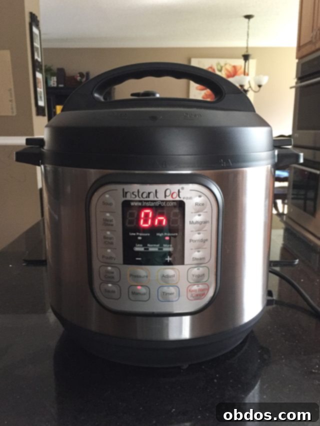 Instant Pot στον πάγκο της κουζίνας, έτοιμο για χρήση