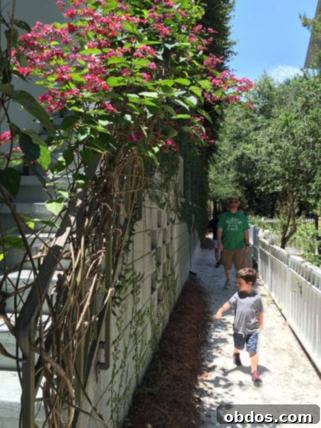 Ruskin Place Seaside: Τέχνη, αρχιτεκτονική και ηρεμία στην 30A