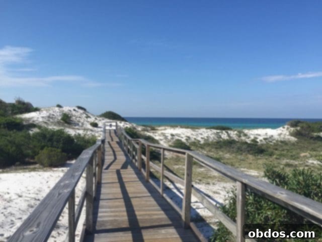 Blue Mountain Beach: Περίπατοι στην παραλία με την οικογένεια