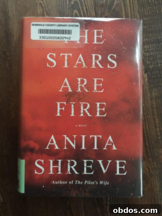 Εξώφυλλο του βιβλίου The Stars Are Fire