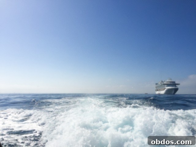 Εκπληκτικό πλοίο Royal Princess στο λιμάνι