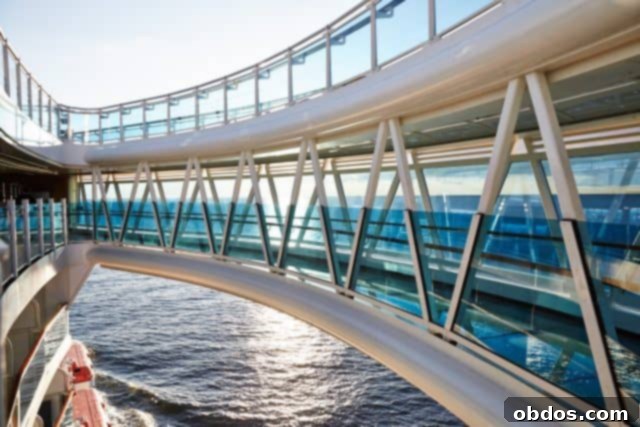 Ο εντυπωσιακός γυάλινος διάδρομος SeaWalk της Royal Princess