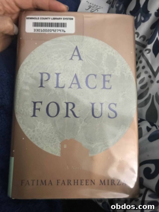 Εξώφυλλο του βιβλίου A Place For Us