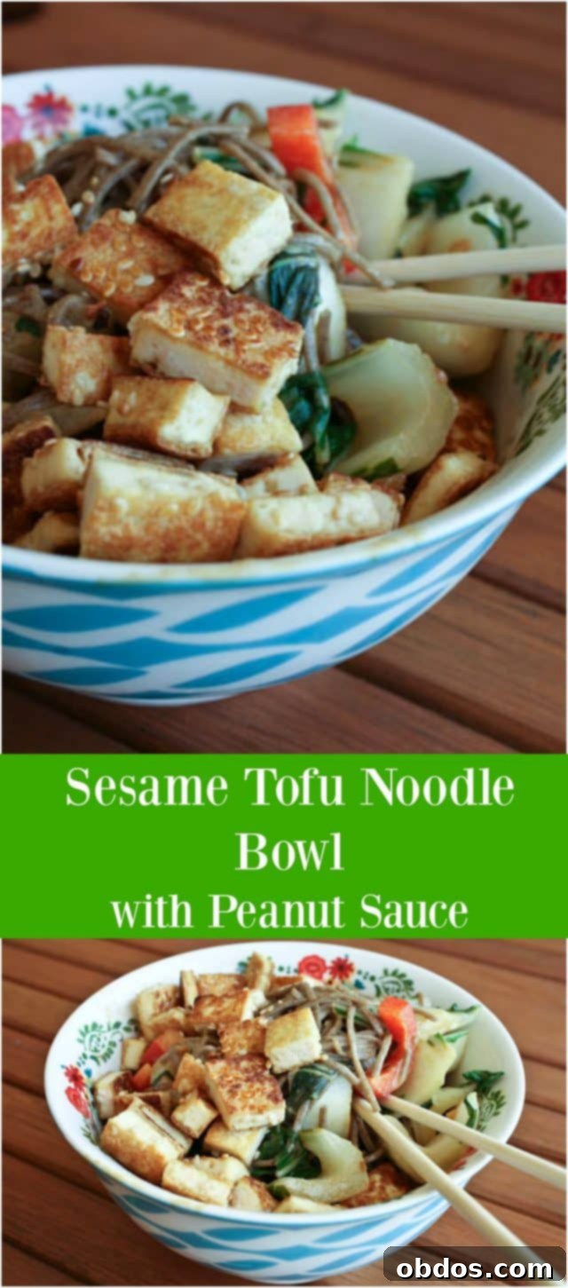 Κολάζ με εικόνες από Noodle Bowl με Τόφου, Σουσάμι και Σάλτσα Φυστικοβούτυρου