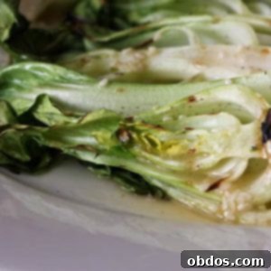 Ψητά Μικρά Μποκ Τσόι με Ασιατικό Βινεγκρέτ Σουσάμι 2 Ψητό Μικρό Μποκ Τσόι με Ασιατικό Σουσάμι Βινεγκρέτ