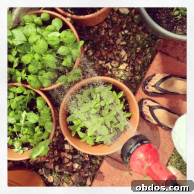 Garden Tour 2013