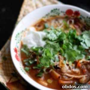 Υγιεινή Σούπα Τορτίγιας Κοτόπουλου | aggieskitchen.com