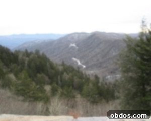 img 95 9